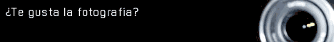 Concurso fotografia