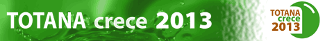 Plan Estrat�gico Local. Totana crece 2013