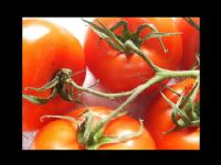 Cocina Mediterranea - 2