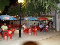 Bares Totana - 2