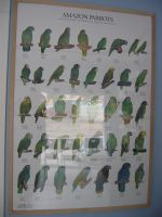Veterinarios Alhama - 10