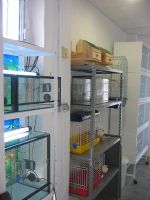 Veterinarios Alhama - 12