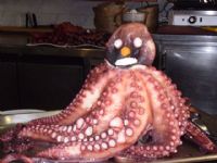 Pulpo - 8