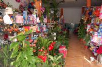 Florister�as Totana Murcia - 2