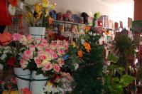 Florister�as Totana Murcia - 10