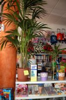 Florister�as Totana Murcia - 27