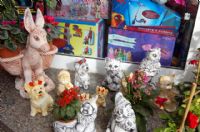 Florister�as Totana Murcia - 18