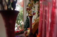 Florister�as Totana Murcia - 6