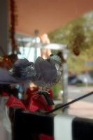 Florister�as Totana Murcia - 31