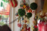 Florister�as Totana Murcia - 9
