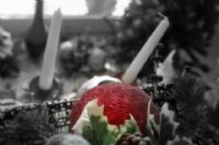 Florister�as Totana Murcia - 12