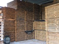 STOCK PINO ENVASES(CUADRADILLO) - 13
