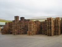 STOCK 1 - 2