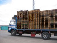 TRANSPORTE - 14