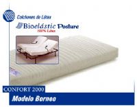 Colchones de L�tex.
Modelo Borneo - 8