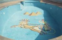  FONDOS DE PISCINA Y UD CUAL QUIERE - 9