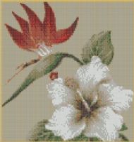 FLOR DEL PARAISO - 17
