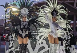 Carnaval Totana 2024 - Fantasa, Varkari, Canaria y El Pistonazo