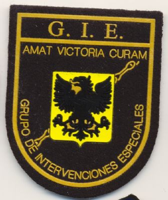 Emblema Brazo Grupo de Intervenciones Especiales 