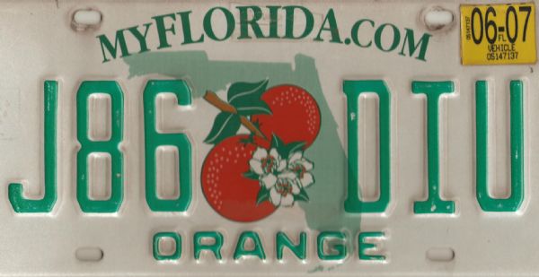 Matricula de Florida (U.S.A.)