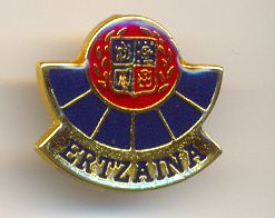 Pins Policia Autonomica Ertzaina