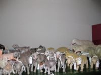 Librerias Papelerias Totana - 21