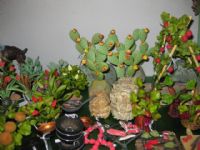 Librerias Papelerias Totana - 24