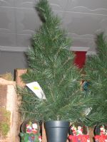 Librerias Papelerias Totana - 34