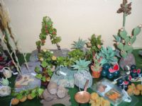 Librerias Papelerias Totana - 4