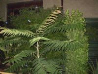 Salones de Celebracion Alhama de Murcia - 4