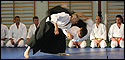 Exhibici�n de Aikido