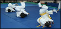 Escuela Municipal de Judo 