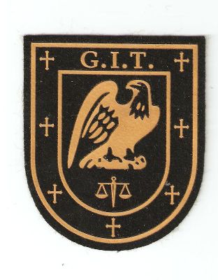 Emblema de Brazo de Grupo de Intervencion Tias (Canarias)