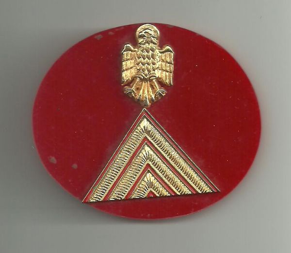 Chapa de Pecho identificativa graduacion Policia Armada