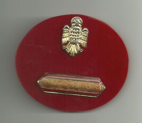 Chapa de Pecho identificativa graduacion Policia Armada