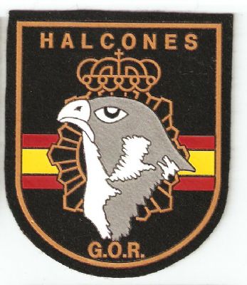 Grupo Operativo de Respuesta C.N.P. (Logroo)