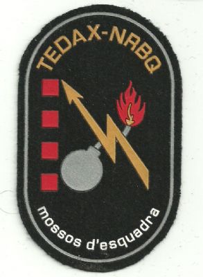 Emblema Brazo Mossos D