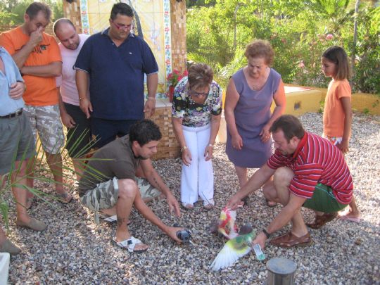 LA PB TOTANA Y LA ASOCIACION DE COLOMBICULTURA DE TOTANA PRESENTAN EL CARTEL DE LAS “FIESTAS DE LA PALOMA”