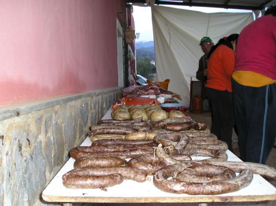 MS DE 300 PERSONAS PARTICIPAN EN LAS JORNADAS DE CONVIVENCIA DA DEL SOCIO ORGANIZADAS POR LA PEA BARCELONISTA DE TOTANA