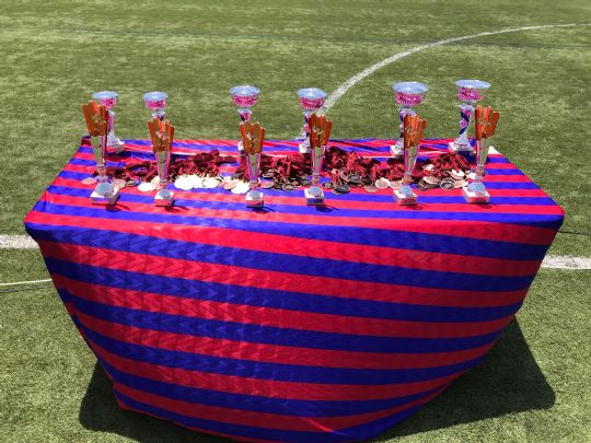 XITO EN EL I TORNEO SOLIDARIO 